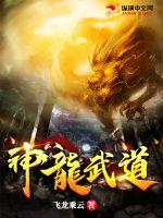 全球游戏化：神级内测玩家