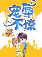 我的岳父是崇祯