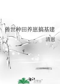 赵康萧玲珑穿越小说免费阅读全文