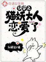 初六苏梅的小说免费阅读